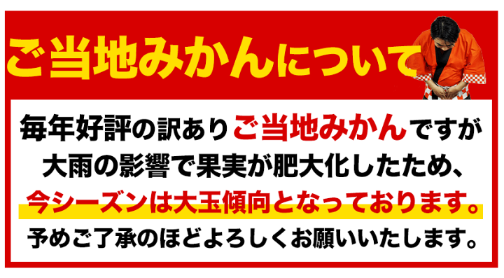 楽天市場】みかん 訳あり 送料無料 1kg ご当地 熊本 九州 ミカン 大玉