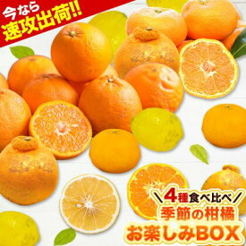 季節の柑橘 お楽しみBOX 4種 柑橘 4.5kg 送料無料 みかん 大粒みかん ポンカン スイートスプリング レモン 訳あり 柑橘 果物 フルーツ 福袋 《1‐5営業日以内に発送予定（土日祝除く）》
