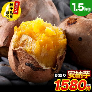 【訳あり】 安納芋 種子島産 1.5kg 送料無料 長期熟成 蜜たっぷり さつまいも 焼き芋 スイーツ用 甘い 蜜芋 大中小 サイズ不揃い サツマイモ お取り寄せ 10kg 以下 芋 imo いも 《11月中旬-12月上