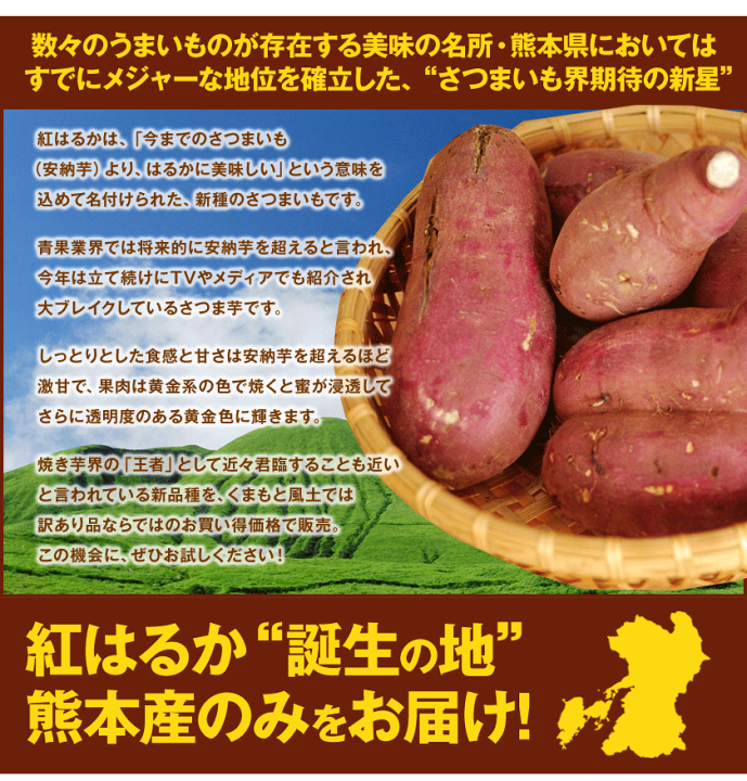 楽天市場】【買えば買うほどおまけ増量！】さつまいも 紅はるか べに