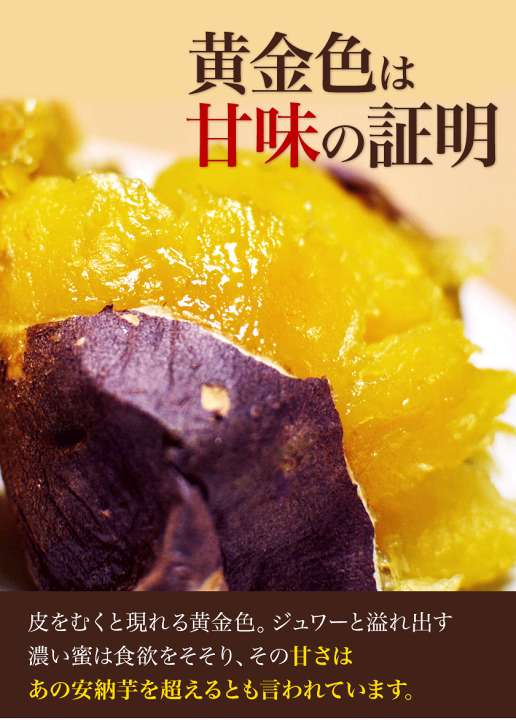 たこちゅー様 紅はるかB品切れ端7kg 楽天市場】【ふるさと納税】【2025年10月より順次発送】☆訳あり