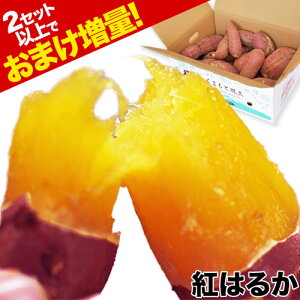 yΔقǂ܂ʁIz܂ g͂邩 ׂɂ͂邩 1.5kg 5kg 10kg   n F{Y XC[c  󂠂 咆TCY(sI ) Ă ܈ F 