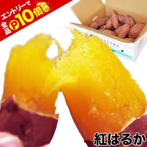 yGg[P10 {IzyΔقǂ܂ʁIz܂ g͂邩 ׂɂ͂邩 1.5kg 5kg 10kg   n F{Y XC[c  󂠂 咆TCY(sI ) 