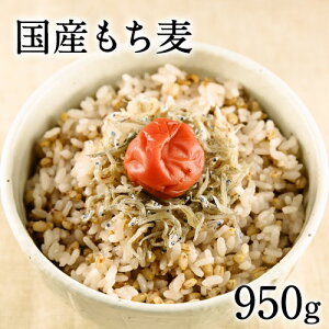  YyzTVŘb̑唞()950g聚ڐłunH@ہi-OJjvێs3-7cƓȓɏoח\(yj)t