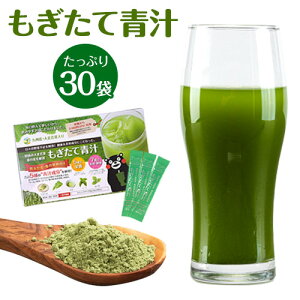 もぎたて青汁 30包 朝摘み 国産 もぎたて 青汁 大麦若葉 送料無料 飲みやすい 青汁 プラセンタ 食物繊維 ダイエット 抹茶 粉末 ポイント消化 aojiru 《3-7営業日以内の発送(土日祝除く)》|