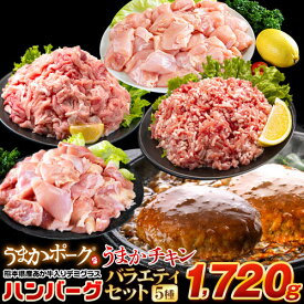 総重量1,720g! お肉5種 バラエティセット 肉 豚肉 鶏肉 ハンバーグ 5種 大容量 福袋 切り落とし 豚ミンチ 国産 豚 ミンチ うまかチキン 若鶏 モモ肉 むね肉 デミグラス 《1-5営業日以内に発送予定(土日祝日除く)》