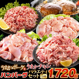 【7/19 20時から★開始6時間限定20％OFFクーポン使える！】 総重量1,520g! お肉5種 バラエティセット 肉 豚肉 鶏肉 ハンバーグ 5種 大容量 福袋 切り落とし 豚ミンチ 国産 豚 ミンチ うまかチキン 若鶏 《配送予定に記載の日程でお届け》|