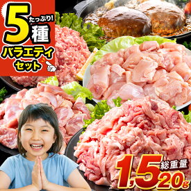 お肉5種 バラエティセット【総重量★1,520g】肉 豚肉 鶏肉 ハンバーグ 5種 大容量 福袋 切り落とし 豚ミンチ 国産 豚 ミンチ うまかチキン 若鶏 《配送予定に記載の日程でお届け》|