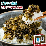 辛子高菜 ごまさば高菜 2種 食べ比べセット 計 260g 九州産 国産 1000円ポッキリ 送料無料 高菜チャーハ…