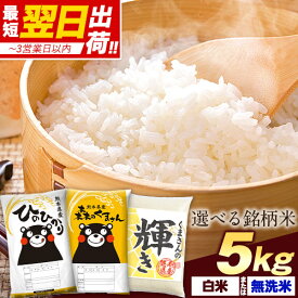 【速攻出荷】 ヒノヒカリ 等 3種から選べる 銘柄 米 5kg (5kg×1袋) 令和7年産 熊本県産 ヒノヒカリ 森のくまさん くまさんの輝き 白米 無洗米 選べる 国産 家庭用 甘い ふっくら 送料無料 備蓄米 ではありません 生活応援 ひのひかり【1‐3営業以内発送】 |