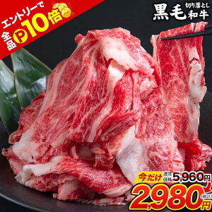 yzzyGg[P10 {Iz јa ؂藎Ƃ 500g BY  K ^pbN a ܐ؂  ĂɁ  a Ef sz\ɋLڂ̓ł͂t |