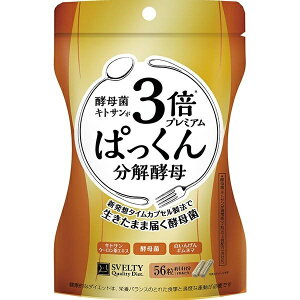 XxeB 3{ς񕪉y v~A 56iXxeBjǐՔԍ