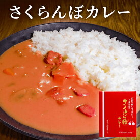 【さくらんぼカレー】 後藤屋 山形名物 さくらんぼ ご当地グルメ レトルト カレー