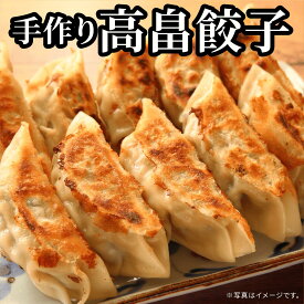 【高畠ラーメン未来屋 手作り高畠餃子】 後藤屋 餃子 高畠豚 国産野菜 冷凍 お取り寄せ おつまみ 惣菜