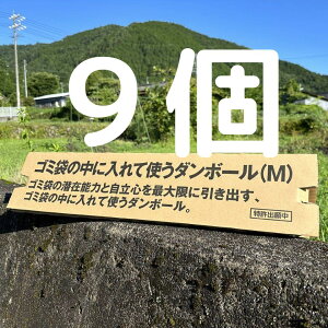 S~܂̒ɓĎg_{[ _{[ S~ K[fjO | ֗ObY ACfAi  GRW[ S~