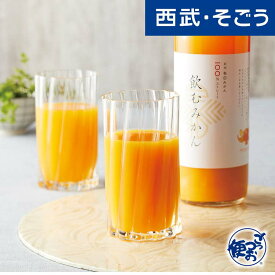和歌山 紀州 有田 みかん ストレート 果汁 「早和果樹園」飲むみかん5本入 父の日