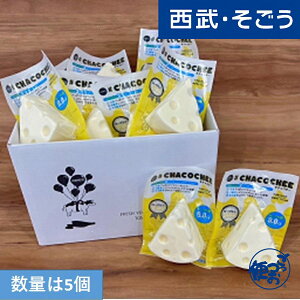 yԌXgA|Cg7{z`[YP[L XC[c Mtg  CHCAO/CHACOMtgZbg5 `[YP[L5 