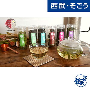 yԌN[|7z ]tI Mtg ؒ -Shukatya- 6ݔ׃Zbg  Ε