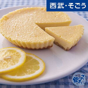 yԌN[|7z`[YP[L `[YP[L 񂹃XC[c uJX^[jv L`[YP[L E  Ε