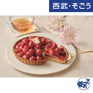 yԌN[|7z^g Oet[ 񂹃O uY哤^gXƂv쌧Yt[c^gXC[gx[ E  