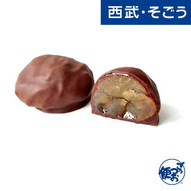 【期間限定クーポン7％】マロントリュフ 洋菓子 お取り寄せグルメ ル パティシエ タカギ「マロントリュフ 4個入」 西武そごうごっつお便 お歳暮