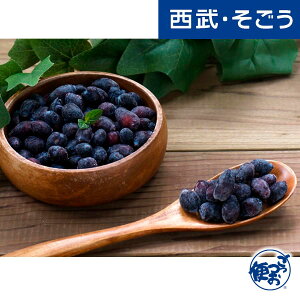 【期間限定ストアポイント7倍】ハスカップ 果実 お取り寄せグルメ 北海道産冷凍ハスカップ 400g 西武そごうごっつお便