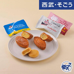 yԌN[|7z肠 _n[o[_u} 肠 _n[o[ZNV2025~ 3v19 E  Ε