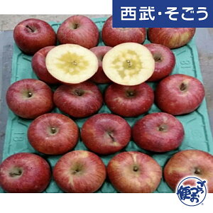 yԌN[|7z ӂ YTӂ 5kg E  Ε