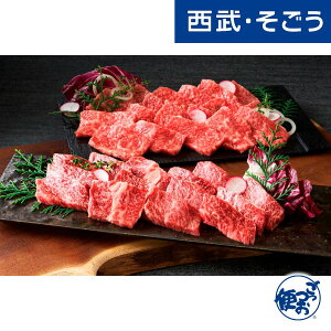 yԌN[|7zo  ēp ꋍ 񂹃O uvꋍ ēp v700g  Ε