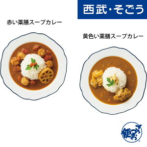 【マラソン限定ポイント付与】薬膳 スープカレー お取り寄せグルメ 管理栄養士監修 食選健美 薬膳スープカレー 2種計3袋 西武そごうごっつお便