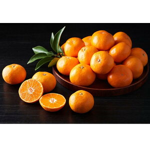 y|Cg10{zΕ ~Mtg 2025 ݂ QY ̊ۂ݂ 2.0kg E  Ԍ1216̔