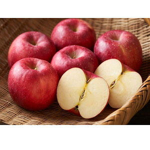 y|Cg10{zΕ ~Mtg 20205  XE茧Y Tӂ 2.0kg E  Ԍ1216̔