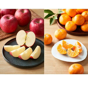 y10offN[|zΕ ~Mtg 2025 QY̊ۂ݂1.0kgXE茧YTӂ 1.2kg  Ԍ1216̔