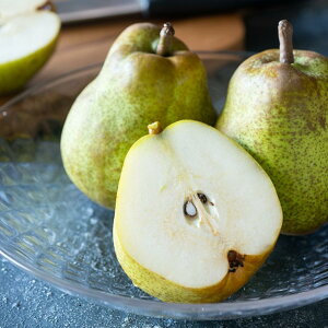 y|Cg10{zΕ ~Mtg 2025 EtX R`Y EtX 2.5kg E  Ԍ1216̔