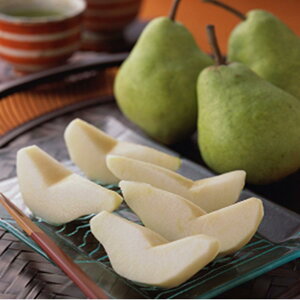 y10offN[|zΕ ~Mtg 2025 tX x R`tX5 E  Ԍ1216̔