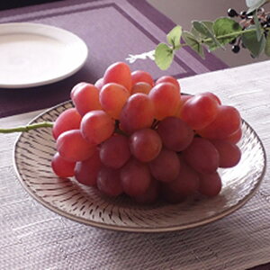 y|Cg10{zΕ ~Mtg 2025 Ԃǂ x 1[ E  Ԍ1130̔