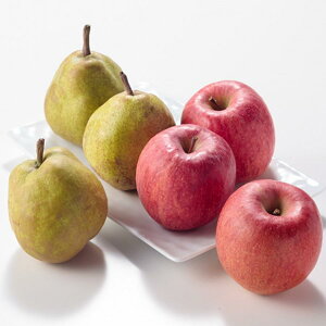 y10offN[|zΕ ~Mtg 2025 x 3ƃtX3lߍ킹 E  Ԍ1216̔