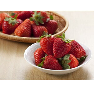 y|Cg10{zΕ ~Mtg 2025  x 2g[i߂̂()A(R)A(R) ̂ꂩ͂j Ԍ1216̔