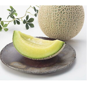 y|Cg10{zΕ ~Mtg 2025 NE x ÉNE1 E  Ԍ1216̔