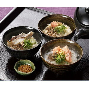 y10offN[|zΕ ~Mtg 2025 Ȃ VЂZbg DC-5B E  Ԍ1216̔