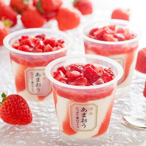 y|Cg10{zΕ ~Mtg 2025 ACX ܂ Ղ䕂̃ACX E  Ԍ1216̔