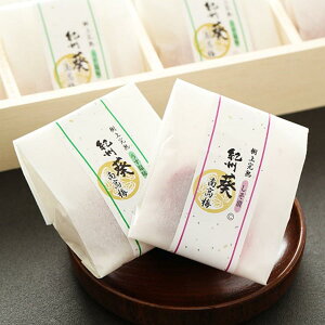 y|Cg10{zΕ ~Mtg 2025 IB썂~ ӂ݂_ IB썂~ ~12 E  Ԍ1216̔