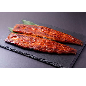 y10offN[|zΕ ~Mtg 2025 Ȃ ČuVvmO͈FY{ȂMSEK-10NK E  Ԍ1216̔