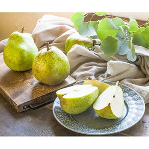 y10offN[|zΕ ~Mtg 20205 R`̔_Ƃ̖l鋦c eeĉցeeHׂR`EtX 1.5kg Ԍ1216̔