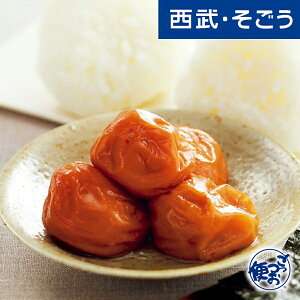 yԌN[|7za̎R 썂~ ~ Ε