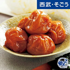 yԌN[|7za̎R 썂~ ~ Ε