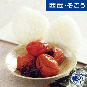 yԌN[|7za̎R L@썂~gp~ ~ Ƃ Ε