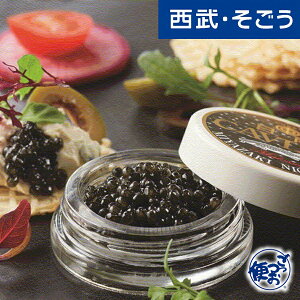 yԌN[|7zO  { LrA tbV LrA Ε