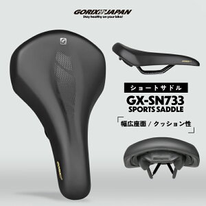 GORIX SbNX Th ] V[gTh ]ԃTh [_炩߃NbVłKɗD] [hoCN Th NbV NXoCN Ռz MTB X|[cfUC(GX-SN733)