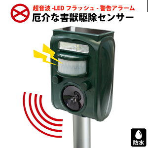 Qb Q ފ ԊOZT[ m Q쏜 g LEDCg 쐶   Qb  h^ Q L쏜 lY~ GR-1yz